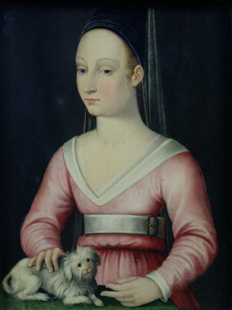 Portret Agnes Sorel autorstwa French School