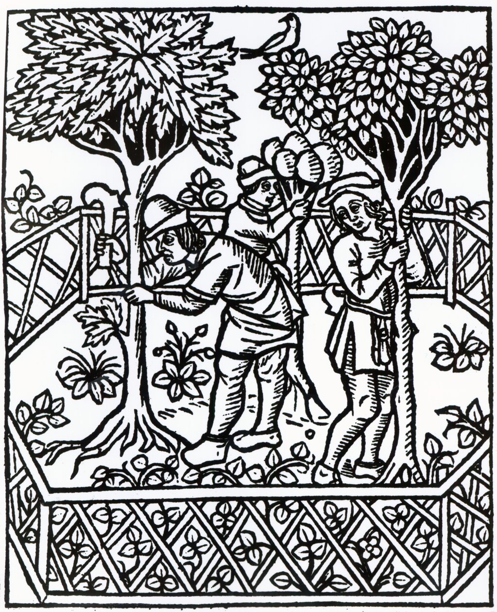 Tending Vines z „Livre des prouffits champetres” Petrusa de Crescentiisa, wydanie opublikowane w 1529 r. autorstwa French School