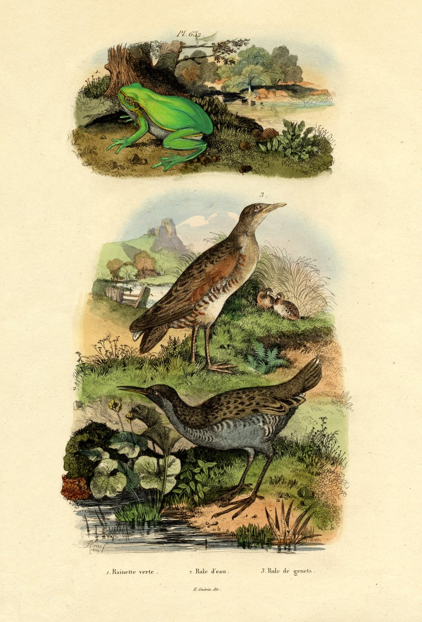 Kolej wodna, 1833-39 autorstwa French School