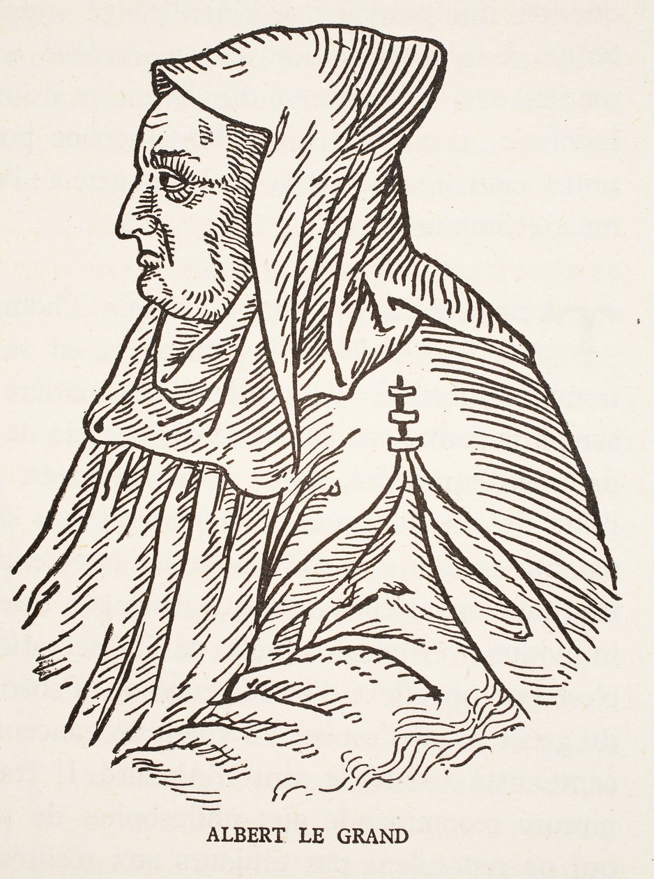 Albert Wielki autorstwa French School