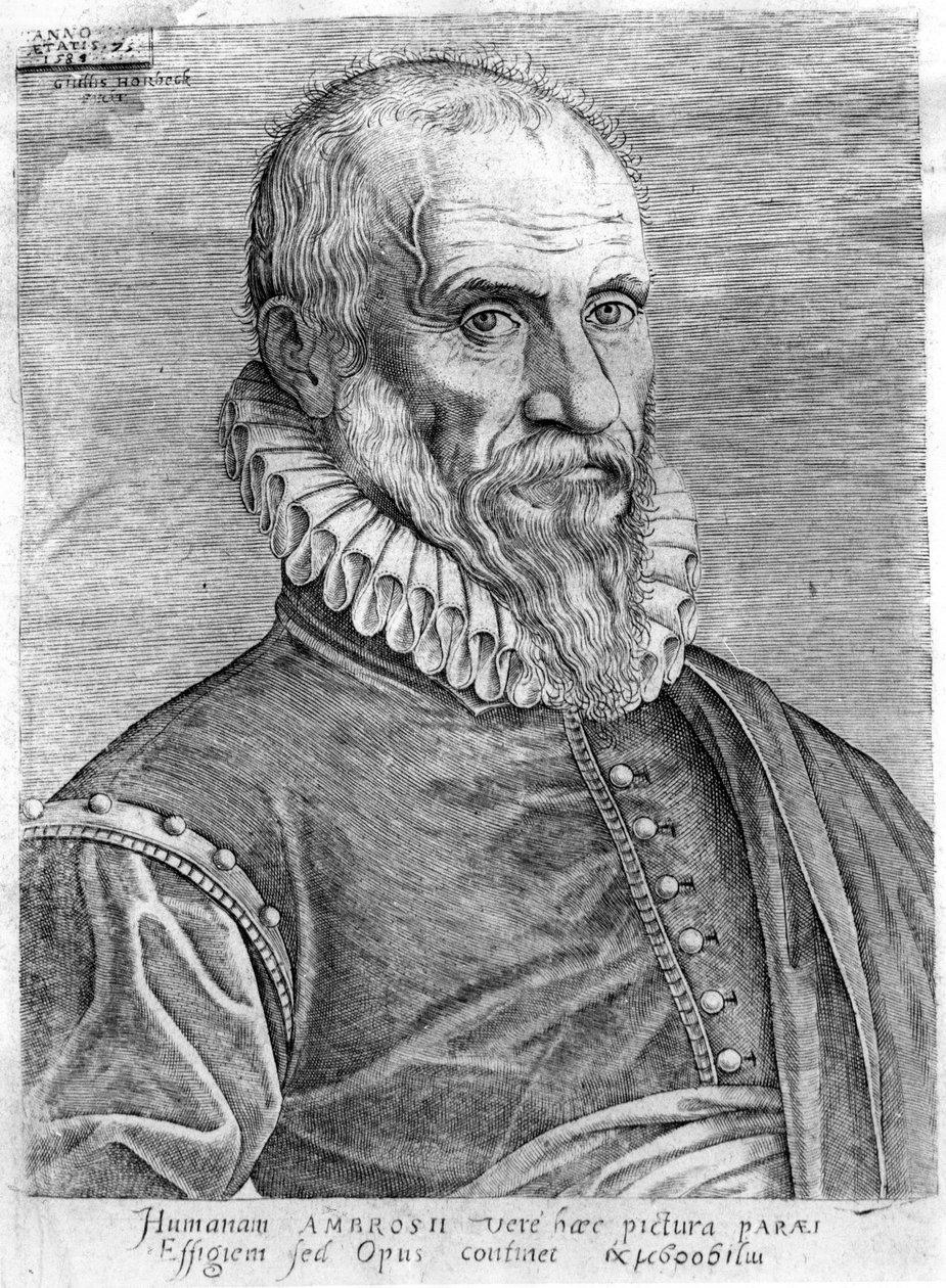 Ambroise Paré (1509-1590). autorstwa French School