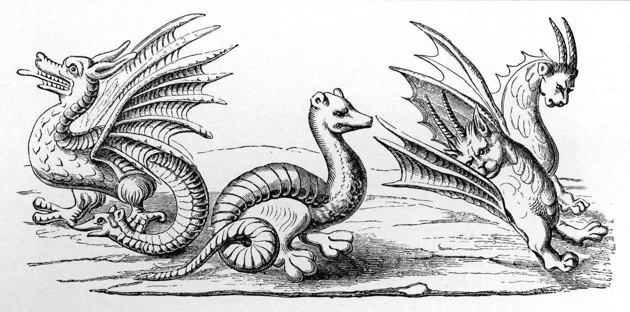 Dragonspolish autorstwa French School