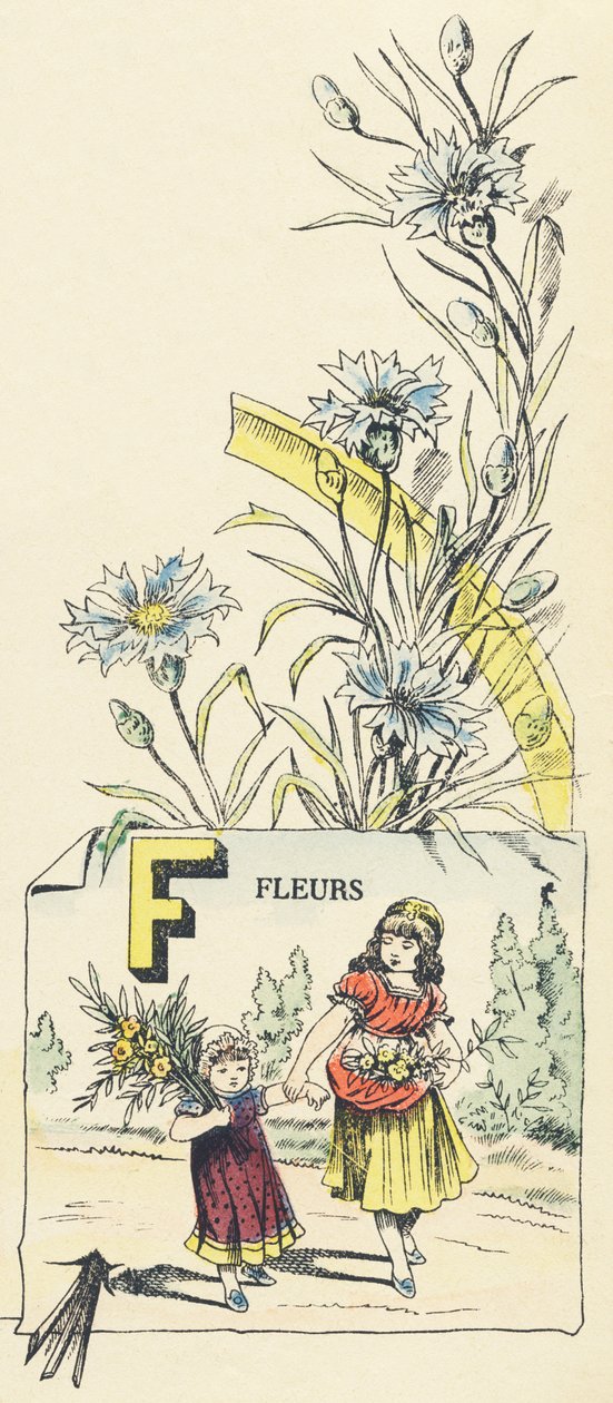 F: kwiaty autorstwa French School