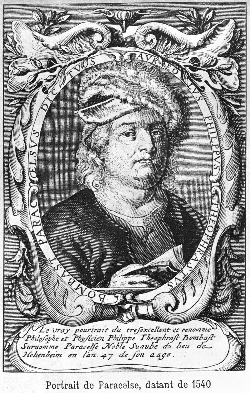 Paracels (1493-1541) 1540 autorstwa French School