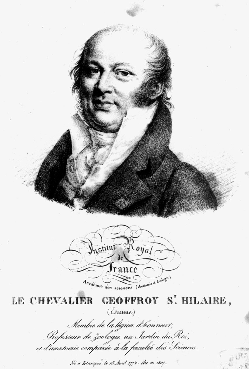 Portret Etienne Geoffroy Saint-Hilaire (1722-1844) autorstwa French School