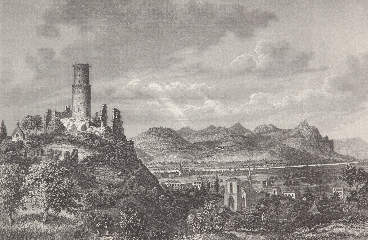 Godesberg autorstwa Pierre Joseph Redouté