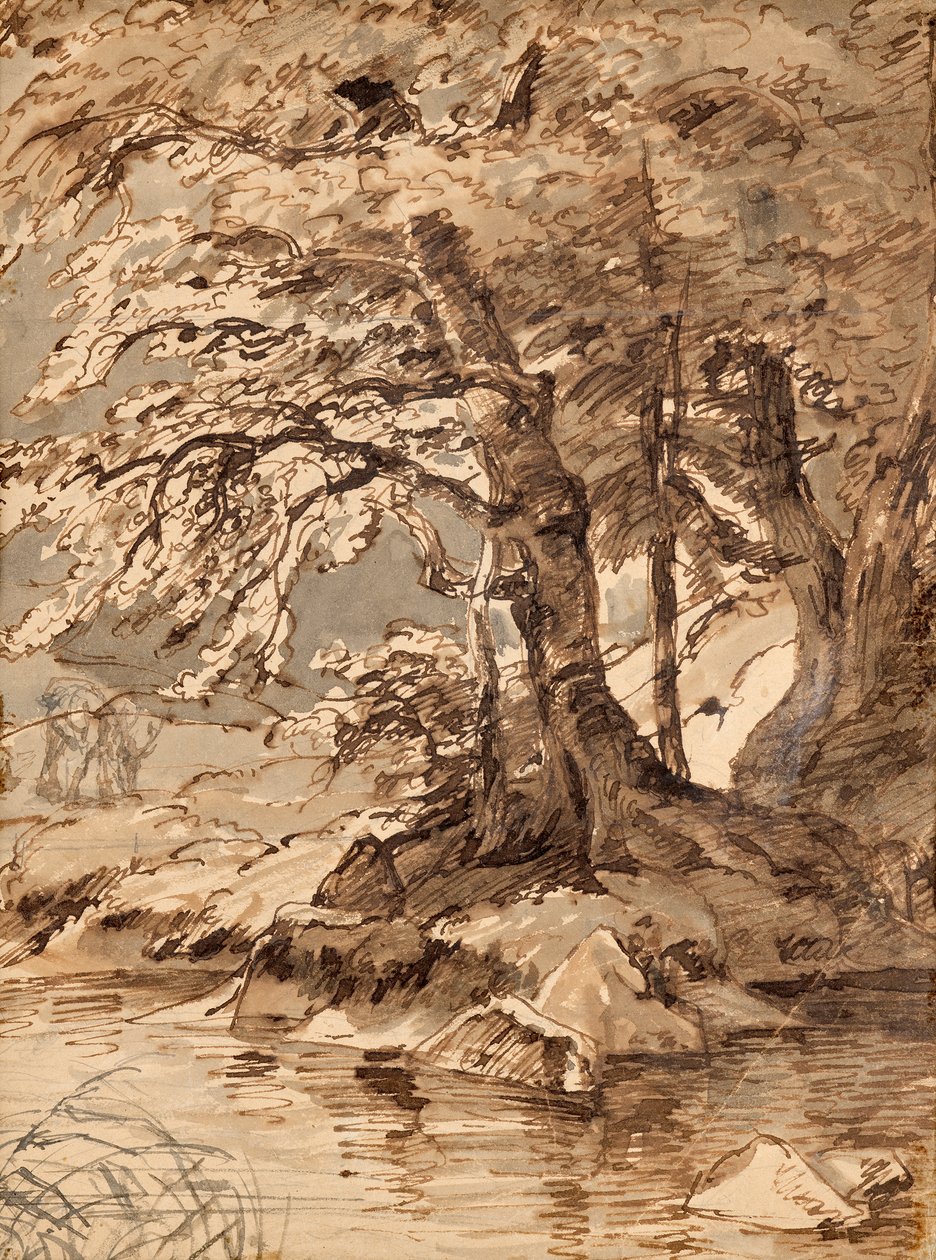 badanie drzewa autorstwa Friedrich August Mathias Gauermann