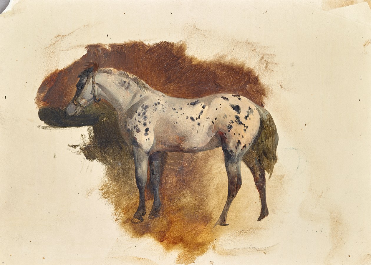 Plamiona pleśń autorstwa Friedrich August Mathias Gauermann