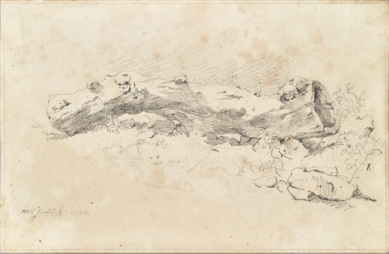Leżący pusty pień drzewa autorstwa Friedrich August Mathias Gauermann