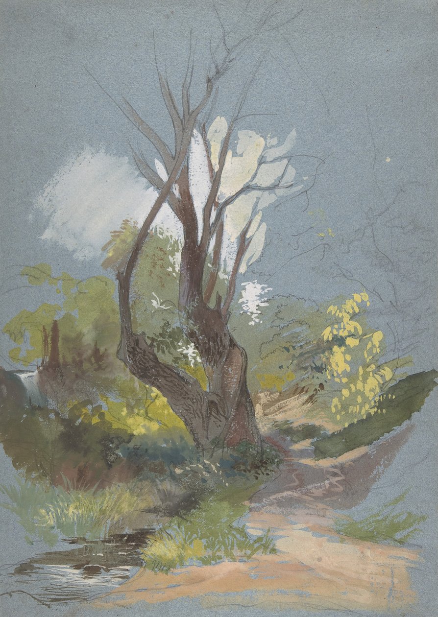 Górska ścieżka z drzewem, 1820-78. autorstwa Friedrich Nerly
