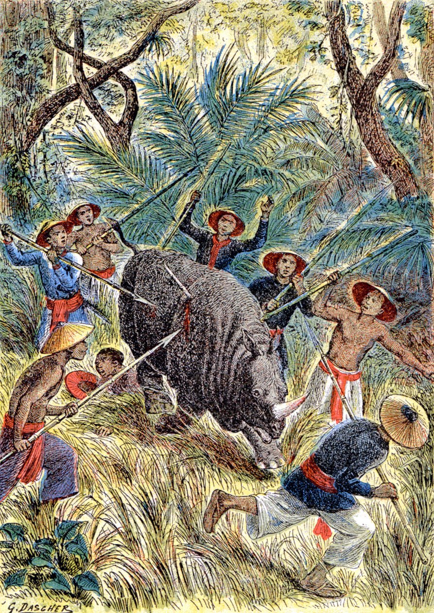 Polowanie na nosorożce, Indochiny Francuskie, ok. 1900 r. (ilustracja) autorstwa G. Dascher