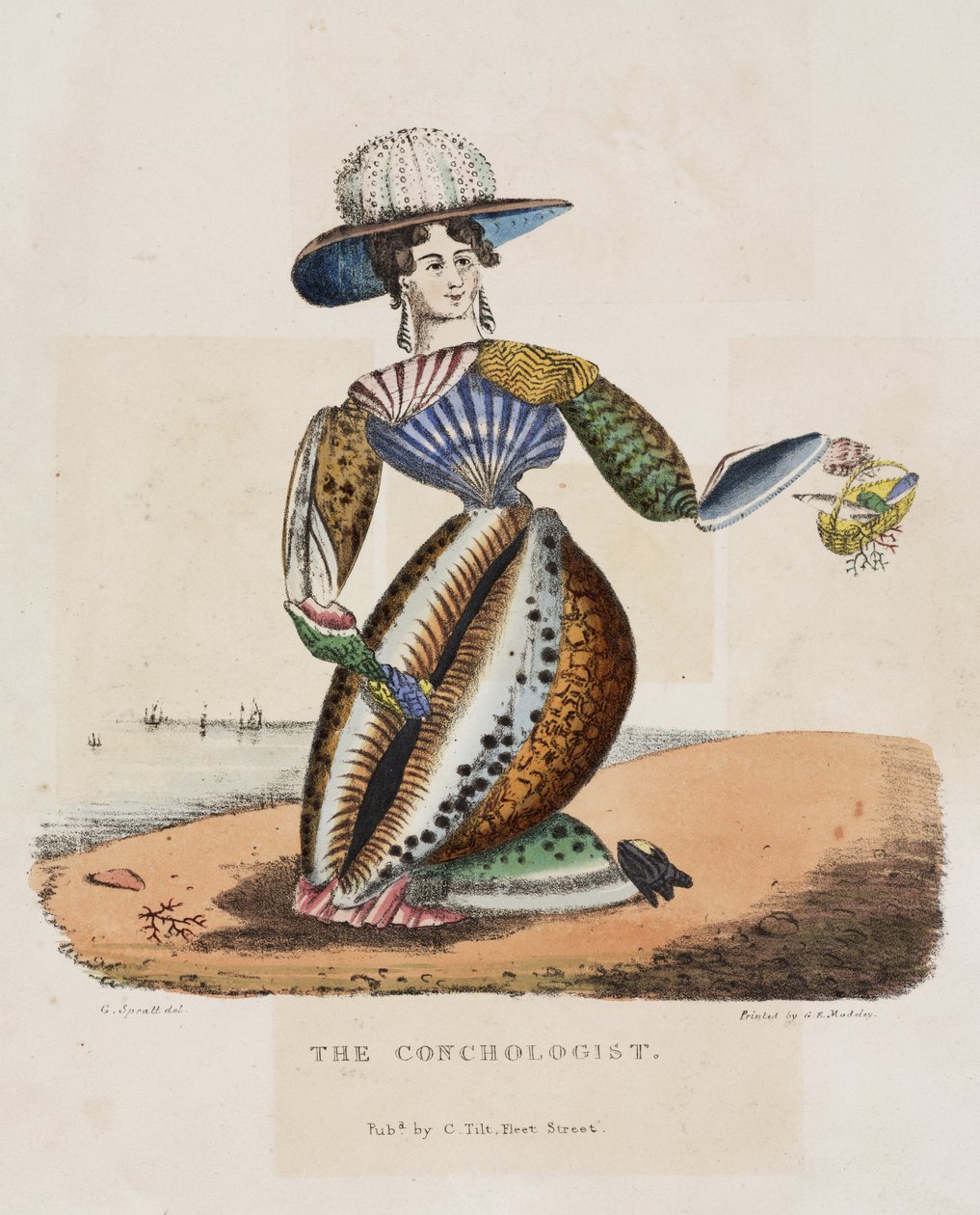 Koncholog, ok. 1831 autorstwa G. Spratt