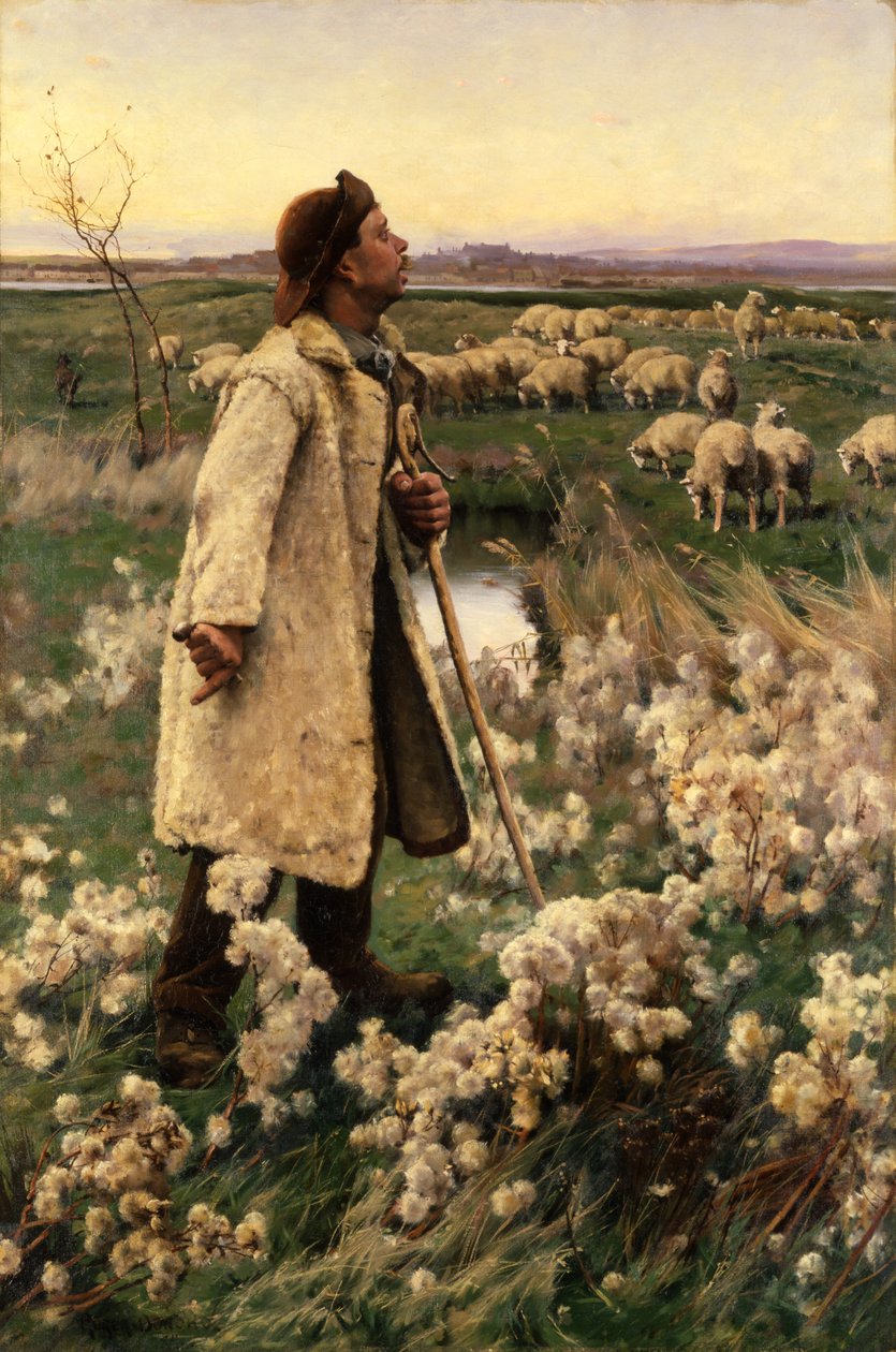 Pasterz, 1884. autorstwa Gaines Ruger Donoho