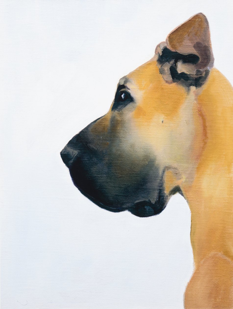 Dog niemiecki, 2016 (olej na płycie) autorstwa Genevieve French