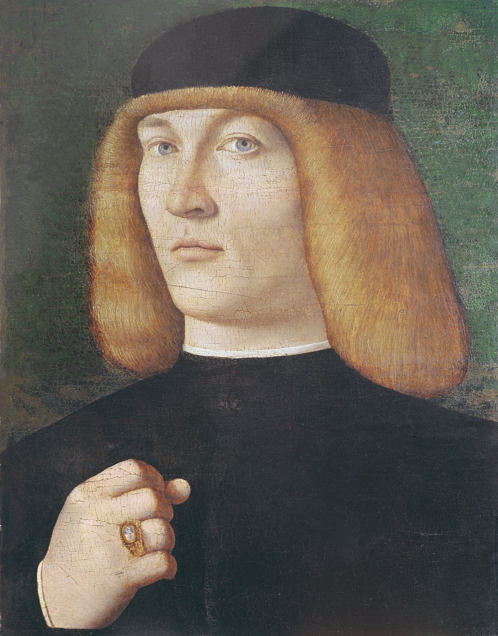 Portret młodzieńca (olej na drewnie topoli) autorstwa Gentile Bellini