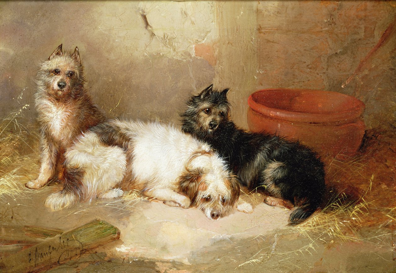 Trzy teriery autorstwa George Armfield