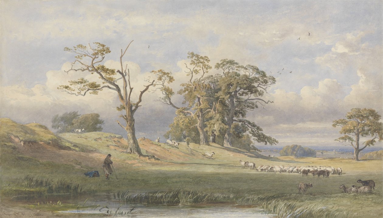 Old British Camp w Bulstrode Park, 1860 (wc nad grafitem na papierze) autorstwa George Arthur Fripp