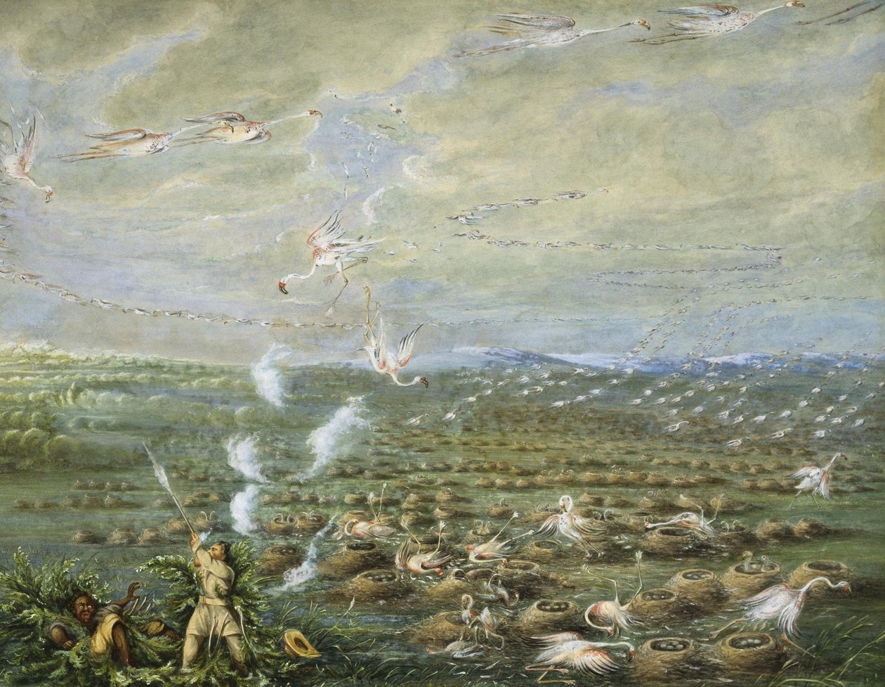 Strzelanie do flamingów w Ameryce Południowej autorstwa George Catlin