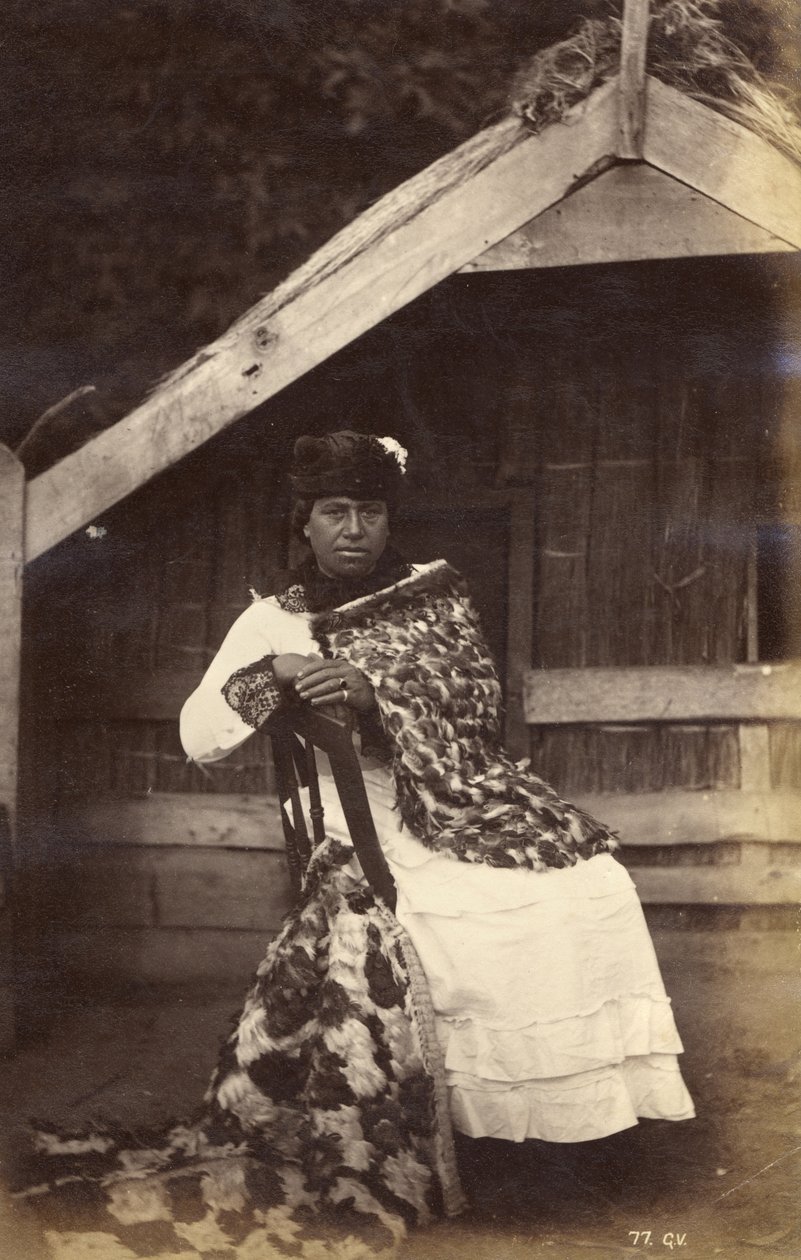 Przewodnik Kate, Wairoa, 1885 (druk albumowy) autorstwa George Dobson Valentine