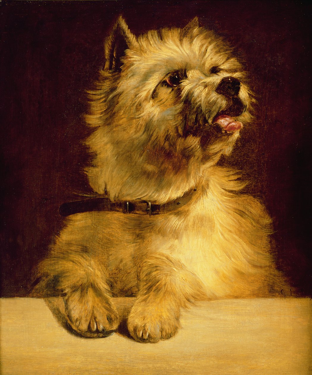 Cairn Terrier autorstwa George Earl