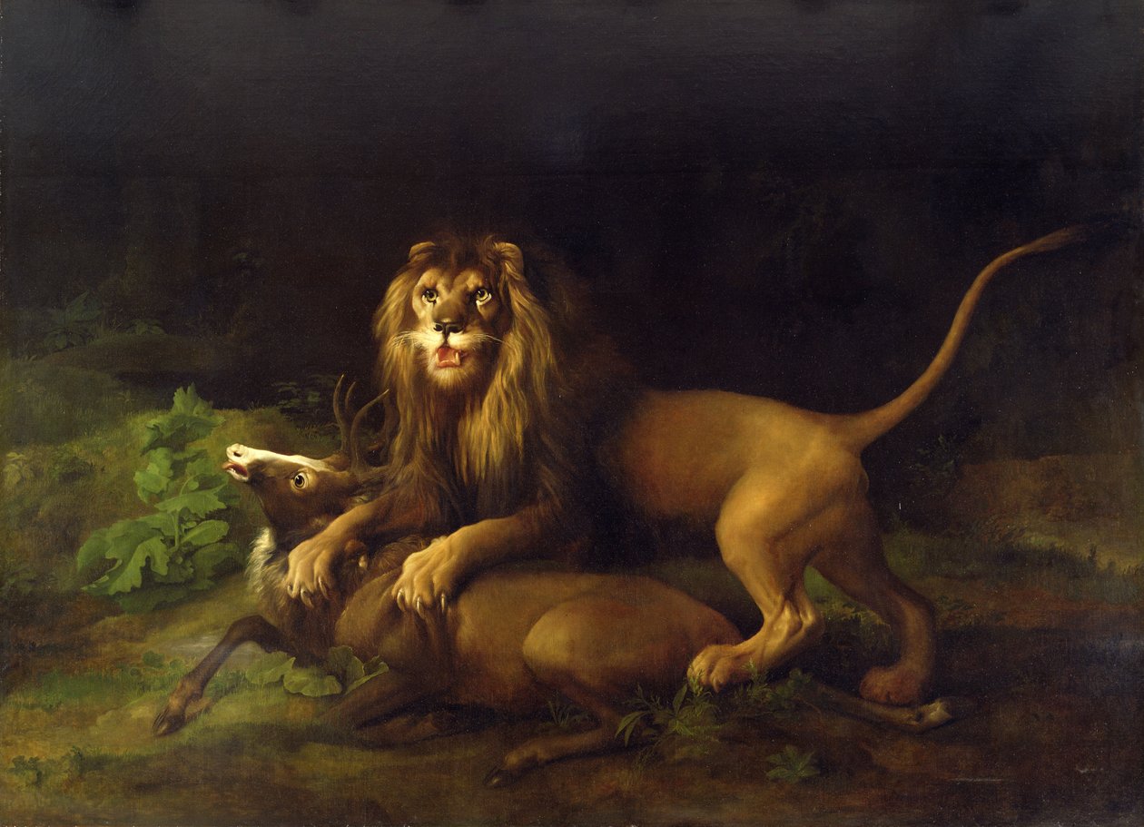 یو زمری په هرن برید کوي، c.1765 poli autorstwa George Stubbs
