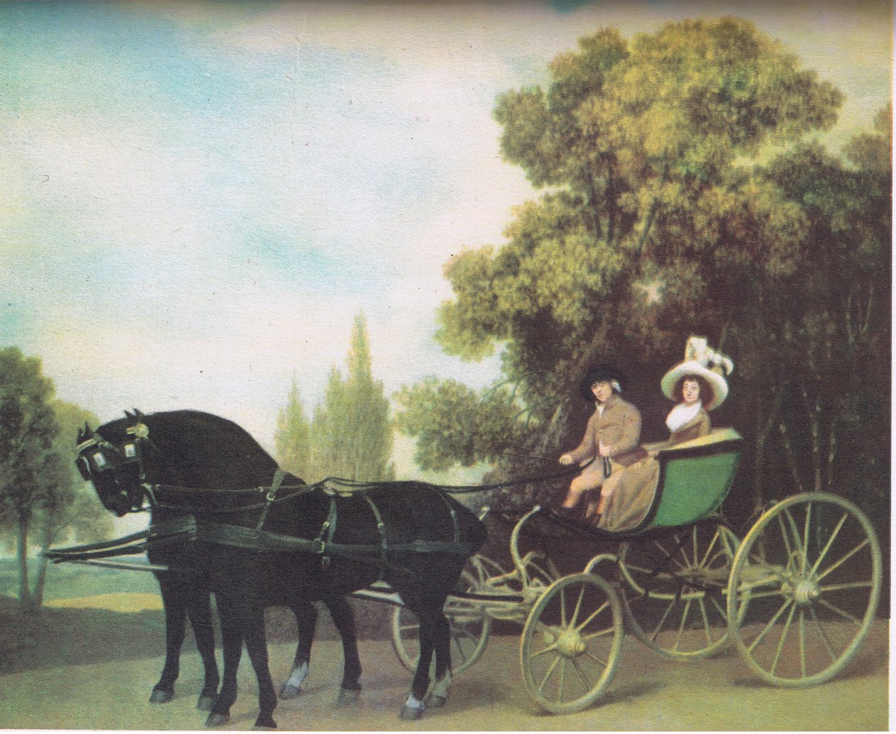 یو هیواد پولی بولي autorstwa George Stubbs