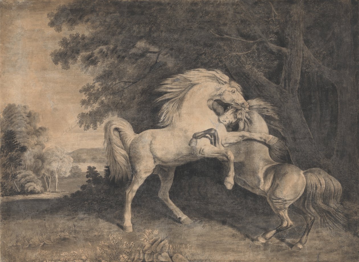 Konie walczą autorstwa George Stubbs