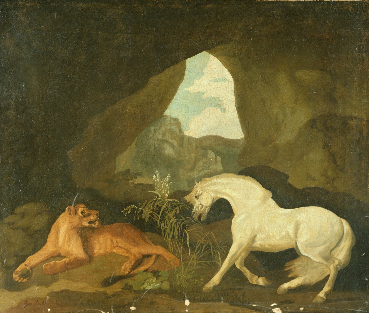 Lwica i biały ogier, 1760 autorstwa George Stubbs