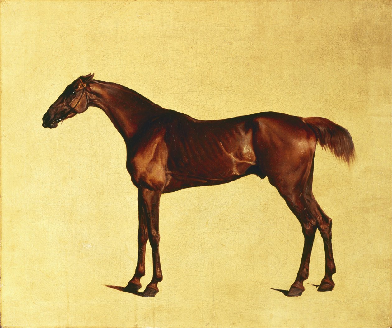 Pangloss autorstwa George Stubbs