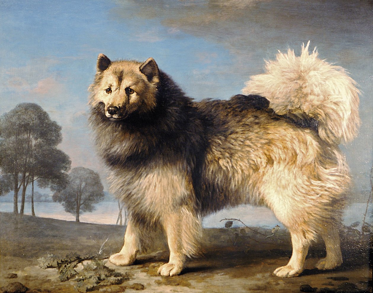 Turk, 1778 autorstwa George Stubbs