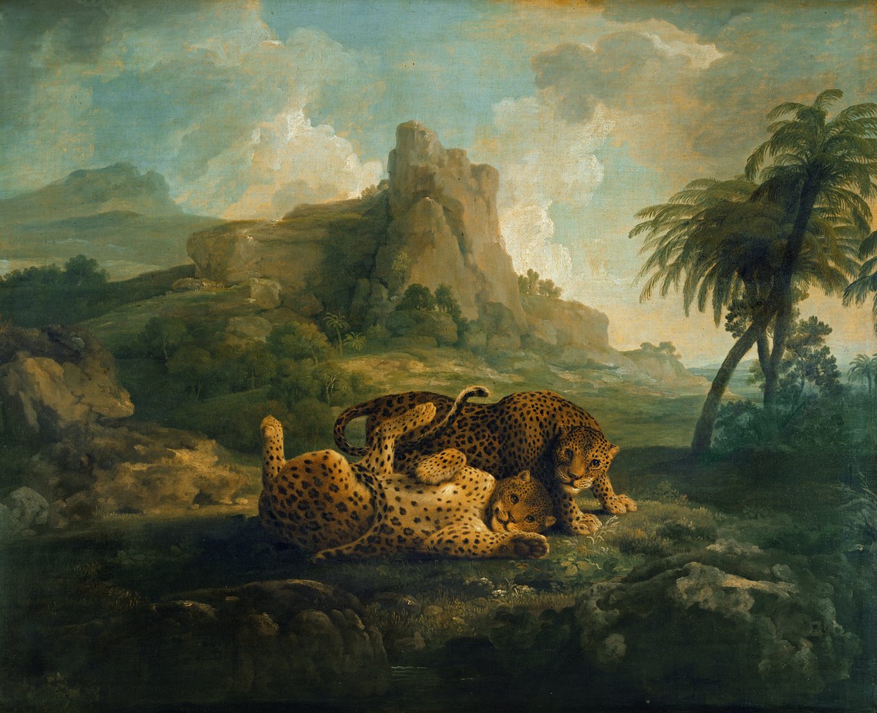Tygrysy w Play, ok. 1763-8 autorstwa George Stubbs