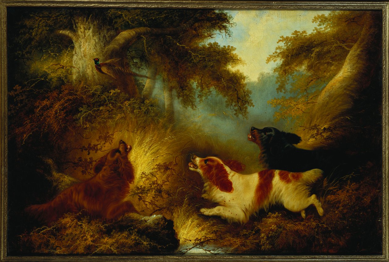 Spaniele układające bażanta autorstwa George Armfield
