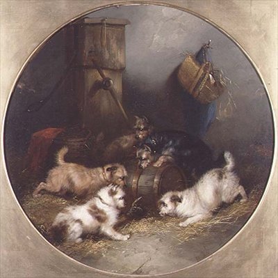 Teriery w stodole autorstwa George Armfield