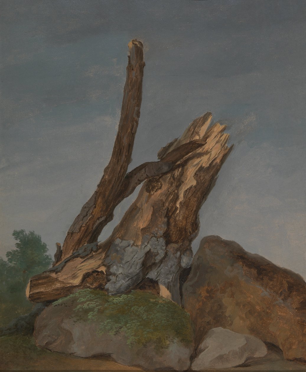 Studium skał i gałęzi autorstwa George Augustus Wallis