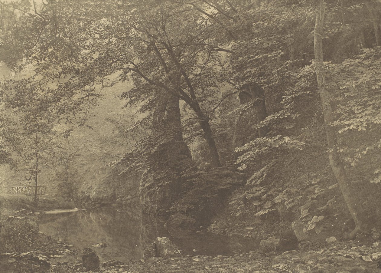 Pike Pool, lata 80. XIX wieku, wydrukowane 1888. autorstwa George Bankart