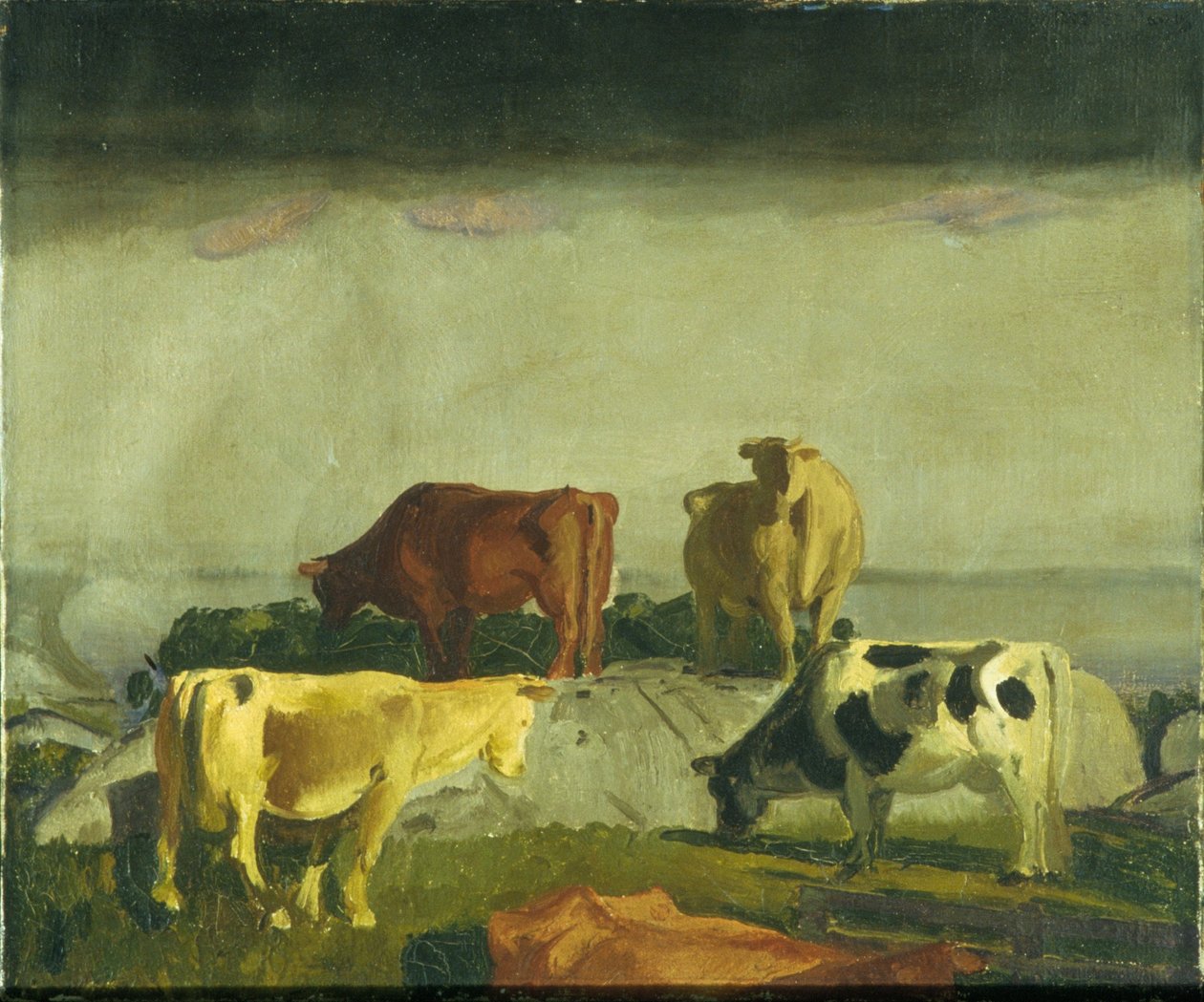 The Red Vine, wyspa Matinicus, Maine autorstwa George Bellows