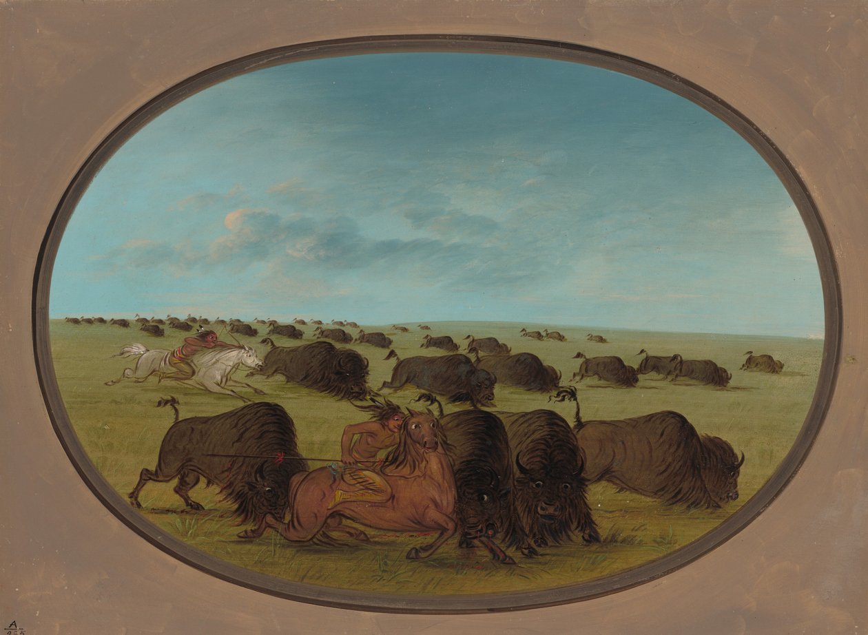 Buffalo Chase, z wypadkami, 18611869. autorstwa George Catlin