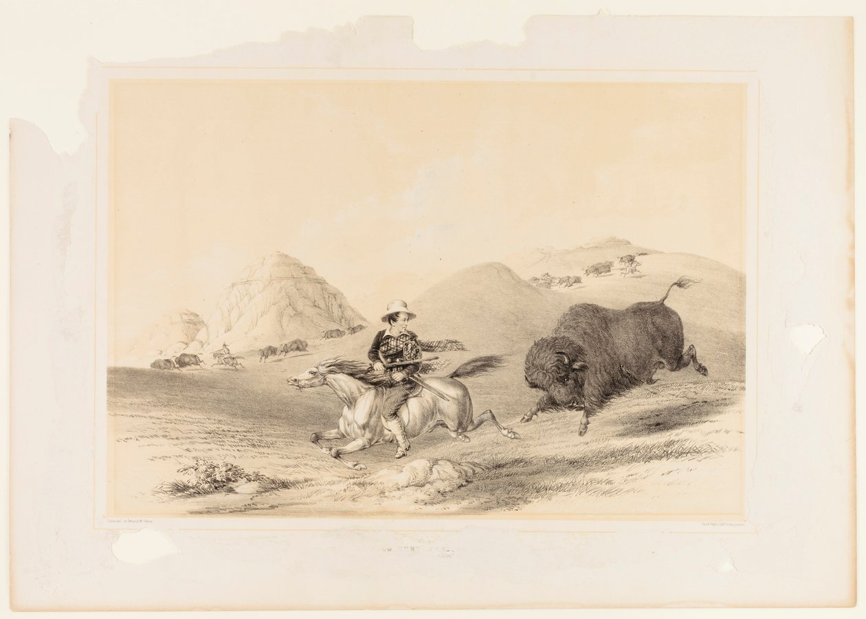 Buffalo Hunt Chasing Back no. 12 autorstwa George Catlin