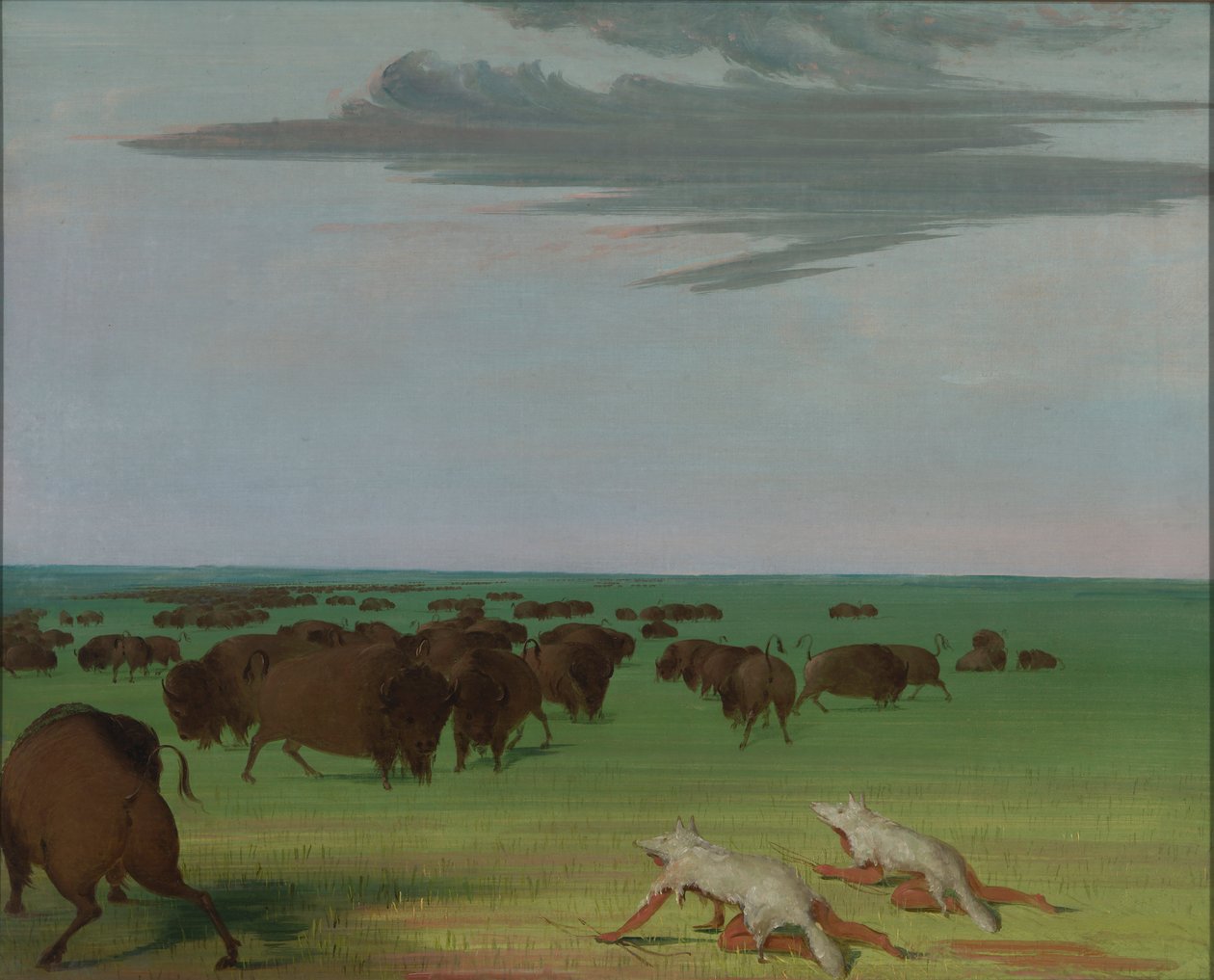 Polowanie na bizony pod maską z wilczej skóry autorstwa George Catlin