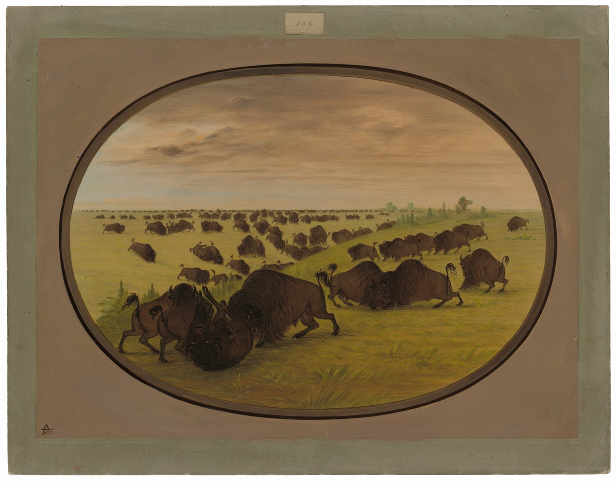 Bulls Fighting   1225573   pl       polish Successfully Translated  Original: Funerary Portrait of James Cardinal Gibbons Translat: Funerary Portrait of James Cardinal Gibbons 1260339 pl polish Successfully Translated Original: Flemish tapestry. Series The autorstwa George Catlin