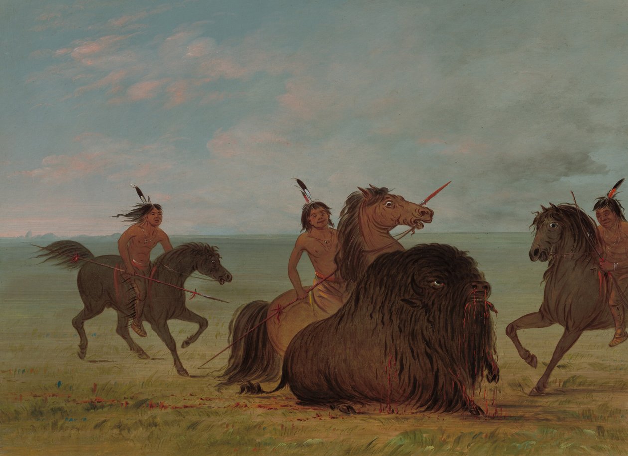 Camanchees kłuje byka bawolego, 18611869. autorstwa George Catlin