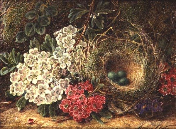 Martwa natura z ptasim gniazdem autorstwa George Clare