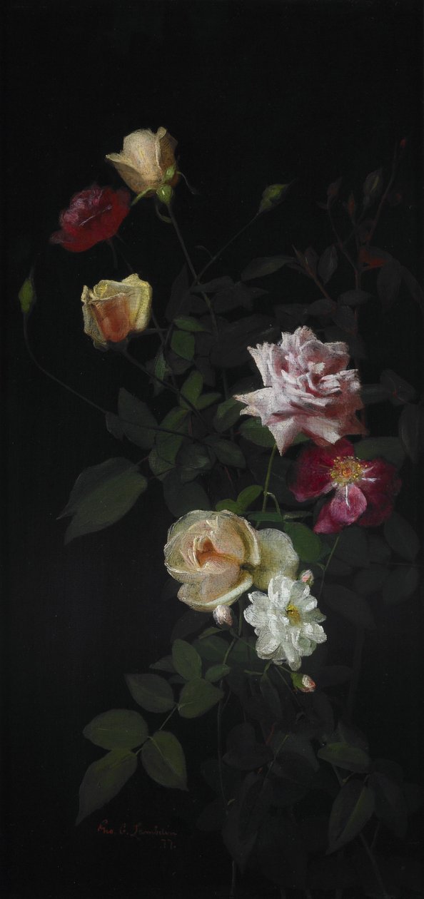 Martwa natura autorstwa George Cochran Lambdin