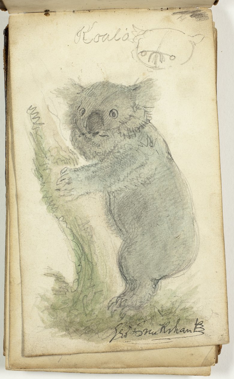 Album autorstwa George Cruikshank