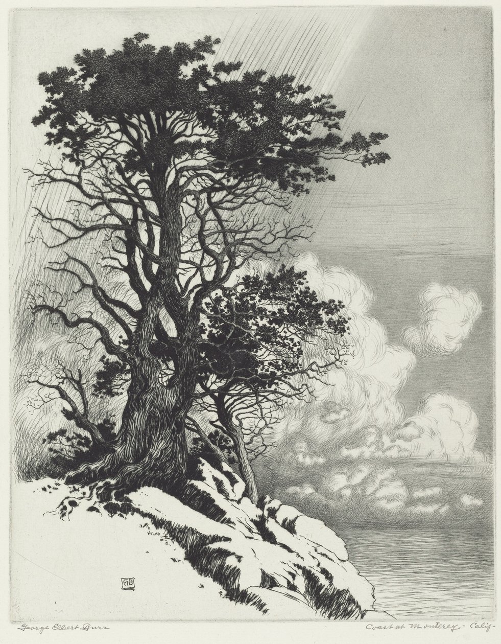 Wybrzeże w Monterey w Kalifornii autorstwa George Elbert Burr