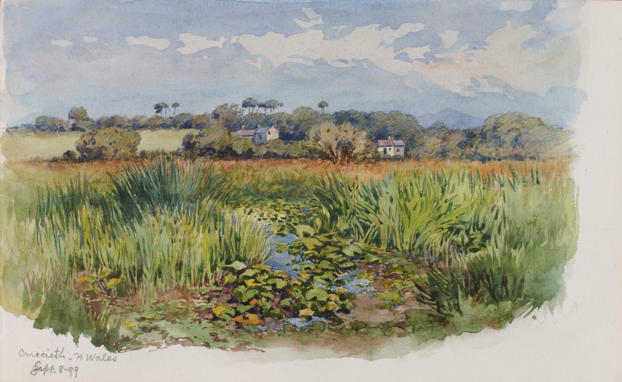 Criccieth, N Walia autorstwa George Elbert Burr