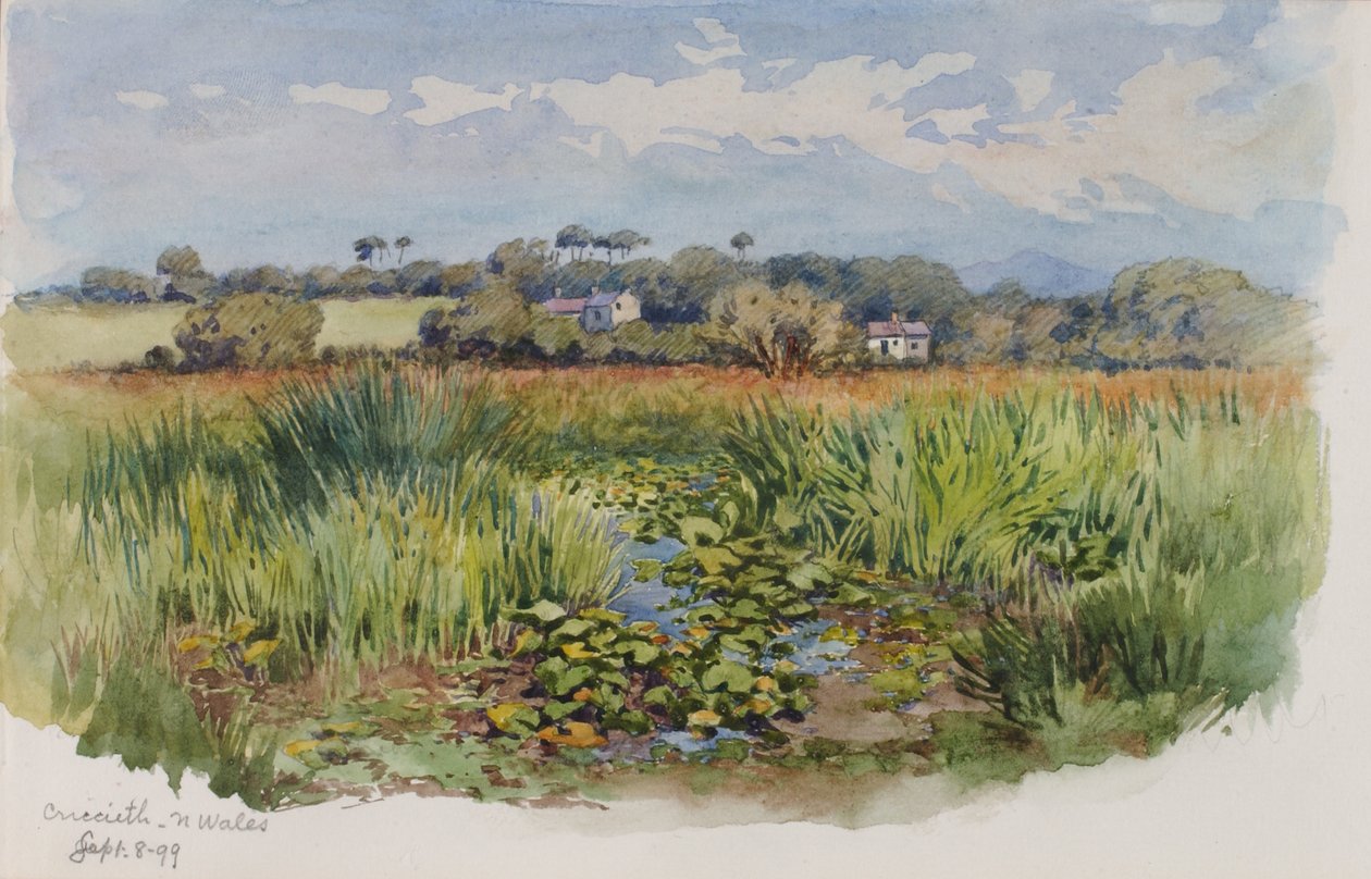 Criccieth, Płn. Walia, 1899. autorstwa George Elbert Burr