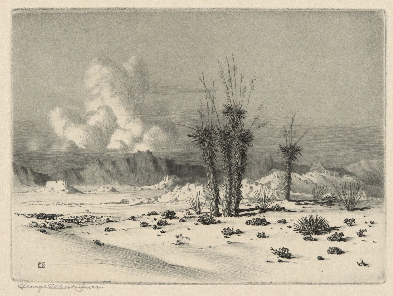 Wieczór, Arizona autorstwa George Elbert Burr