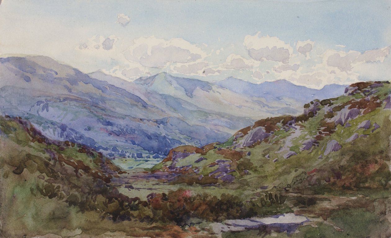 Z góry Pont-y-Pant autorstwa George Elbert Burr