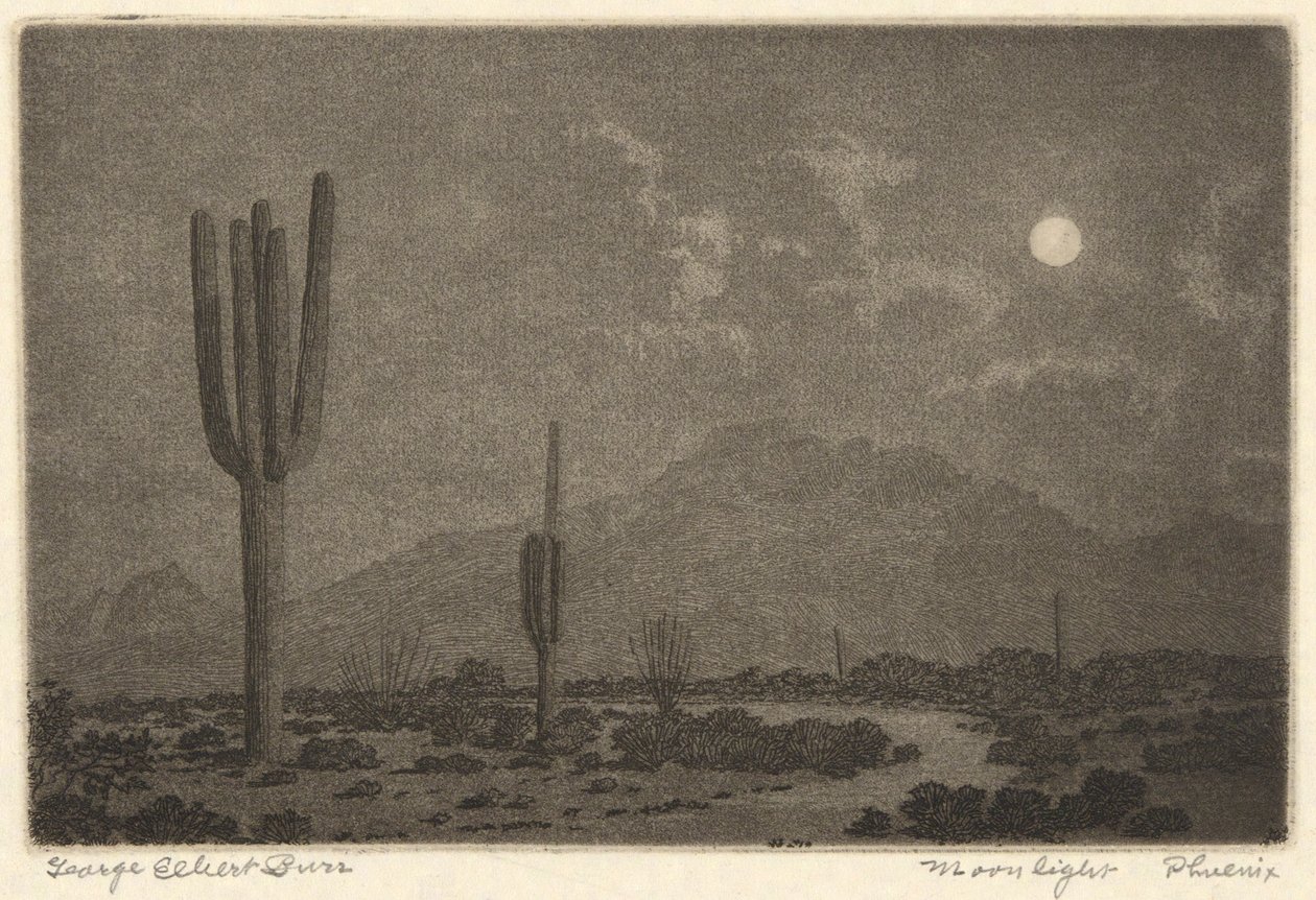 Moonlight-Feniks autorstwa George Elbert Burr